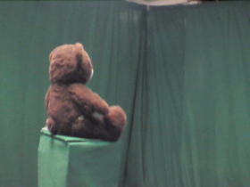 225 Degrees _ Picture 9 _ Brown and Green Teddy Bear.png